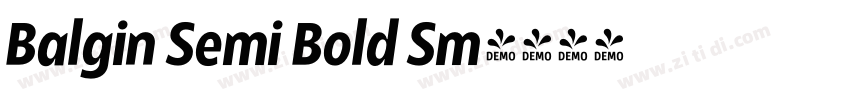 Balgin Semi Bold Sm字体转换